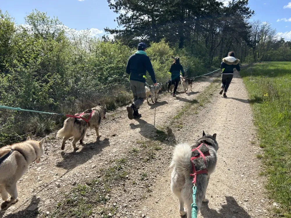 Week-end insolite à Mussy-sur-Seine